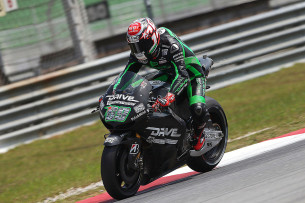 Ники Хэйден