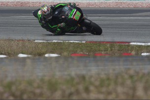 Ники Хэйден