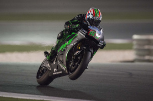 Ники Хэйден