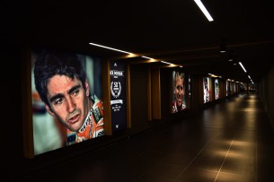 Галерея чемпионов