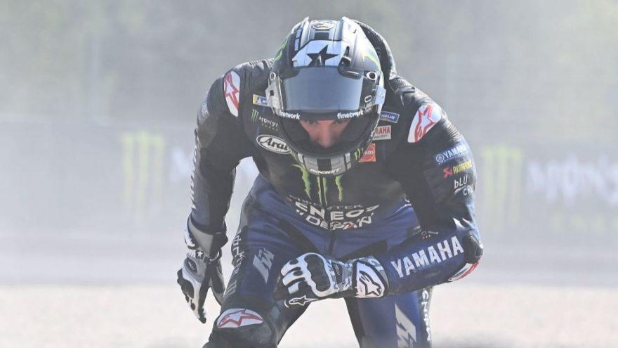 Маверик Виньялес