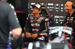 martin-box-cat